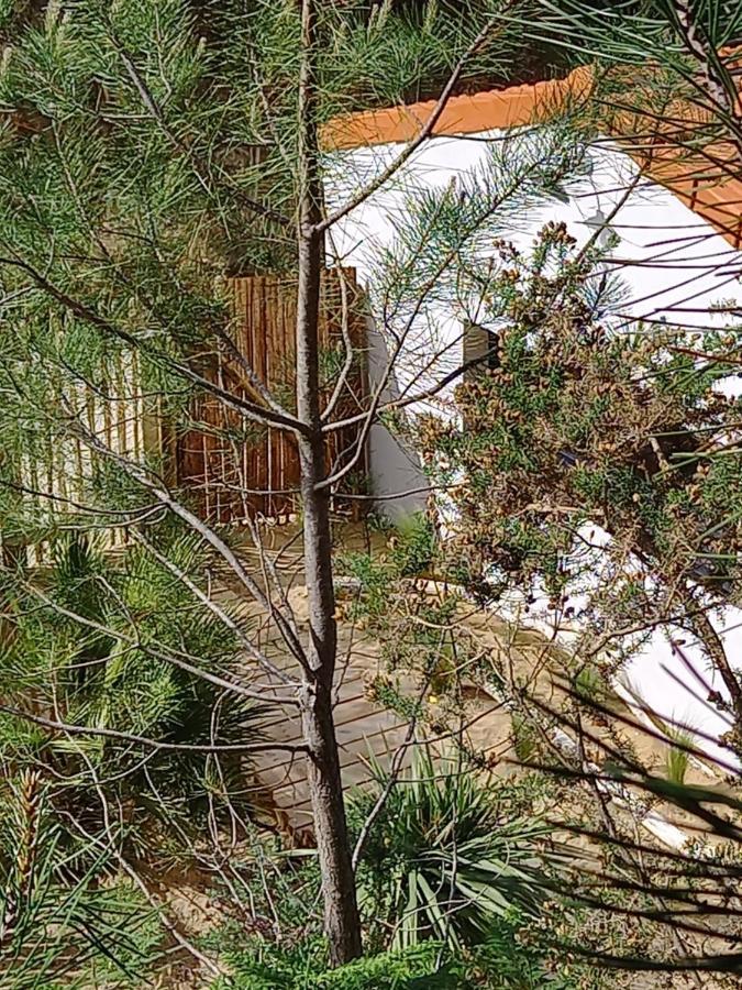 Cot'& Dune - Lodge D'Hote & Spa De Nage Saint-Augustin  エクステリア 写真