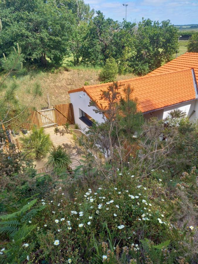 Cot'& Dune - Lodge D'Hote & Spa De Nage Saint-Augustin  エクステリア 写真