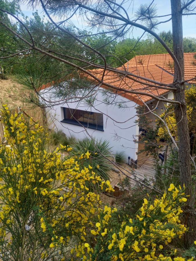Cot'& Dune - Lodge D'Hote & Spa De Nage Saint-Augustin  エクステリア 写真